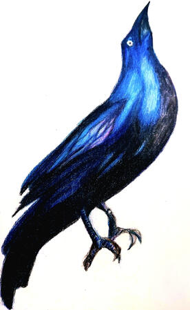 Trabajo con colores